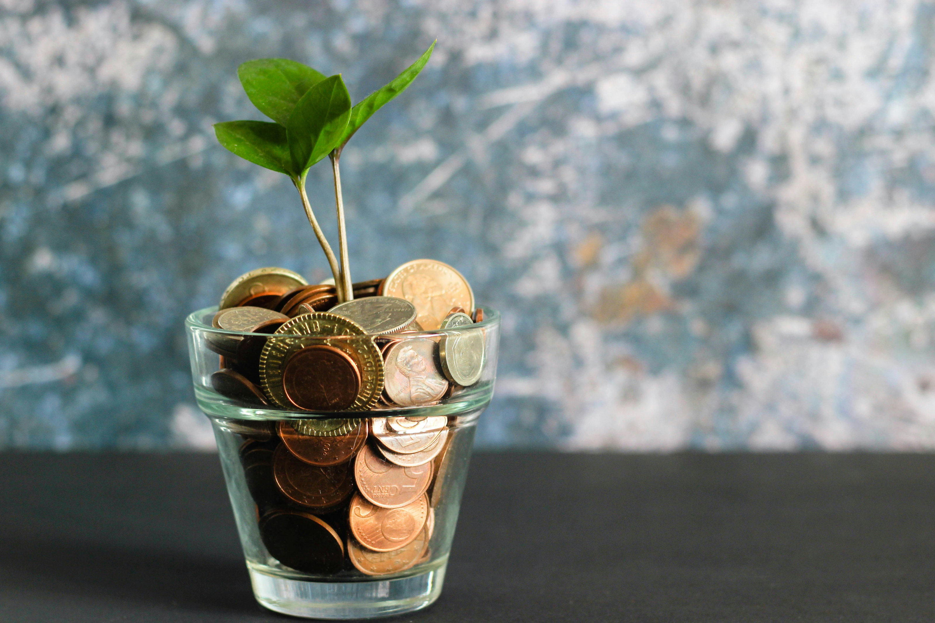 A money tree